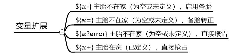 特殊扩展变量
