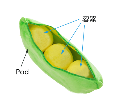 pod
