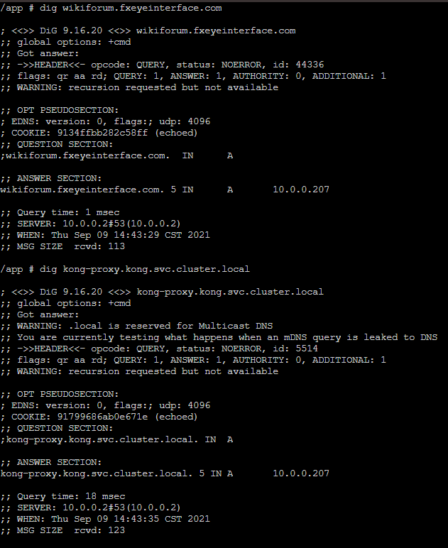 dig test